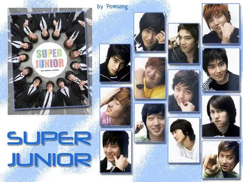 Super Junior Fridge Magnet picture 103939
