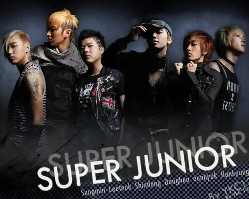 Super Junior Tote Bag - idPoster.com