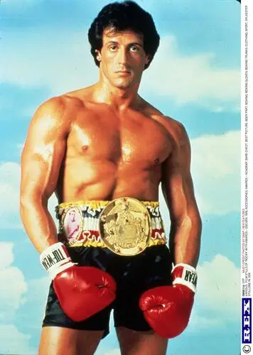 Sylvester Stallone Wall Poster picture 78040