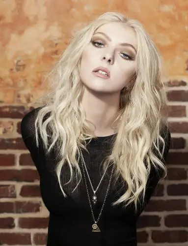 Taylor Momsen Wall Poster picture 1041076