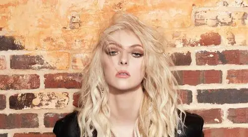 Taylor Momsen Wall Poster picture 1041087
