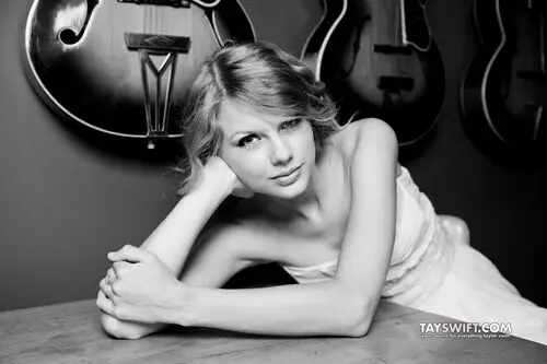 Taylor Swift Jigsaw Puzzle picture 108751