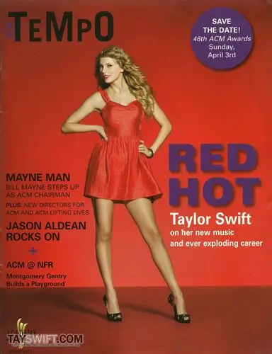 Taylor Swift Fridge Magnet picture 108774
