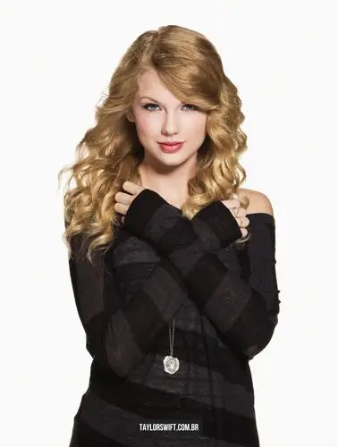 Taylor Swift Jigsaw Puzzle picture 108797