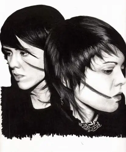 Tegan and Sara Jigsaw Puzzle picture 84054