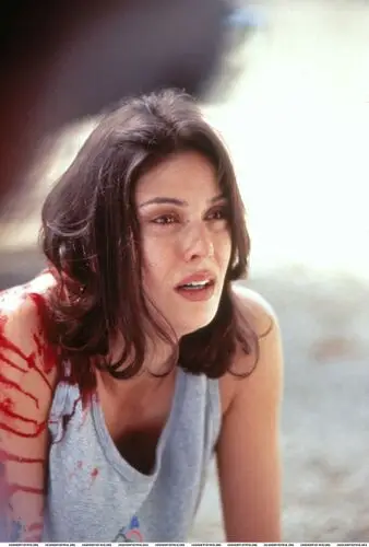 Teri Hatcher Wall Poster picture 48884