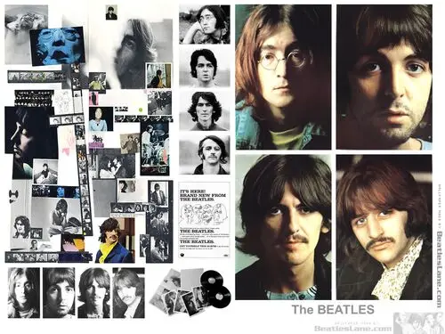 The Beatles Fridge Magnet picture 208305