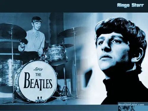 The Beatles Fridge Magnet picture 208307