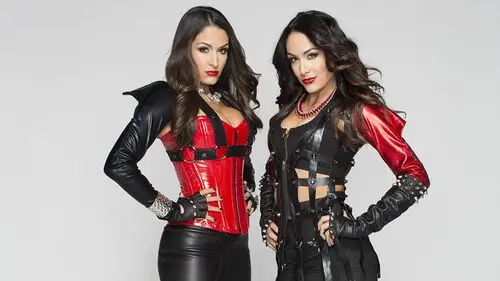 The Bella Twins Protected Face mask - idPoster.com