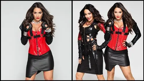 The Bella Twins Wall Poster picture 533259