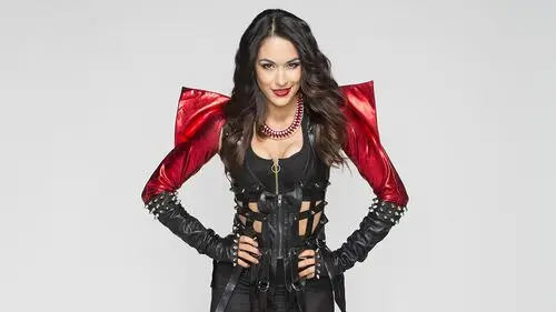 The Bella Twins Wall Poster picture 533262