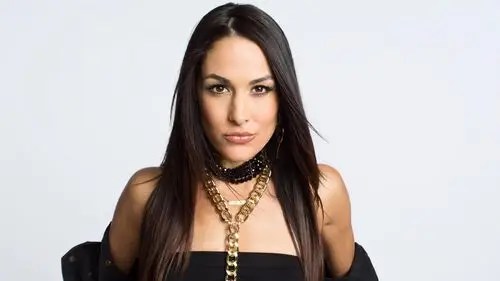 The Bella Twins Wall Poster picture 569667