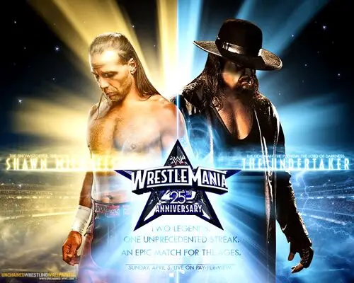The Undertaker Wall Poster picture 76800
