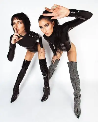 The Veronicas Wall Poster picture 1041232