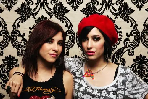 The Veronicas Jigsaw Puzzle picture 533298
