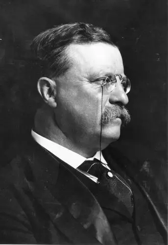 Theodore Roosevelt Wall Poster picture 478638