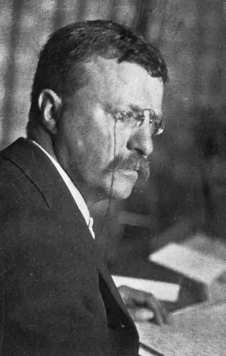 Theodore Roosevelt Image Jpg picture 478642