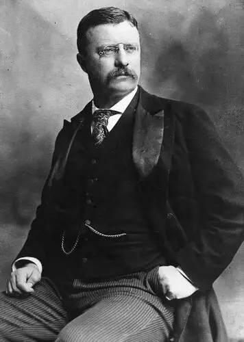 Theodore Roosevelt Fridge Magnet picture 478643