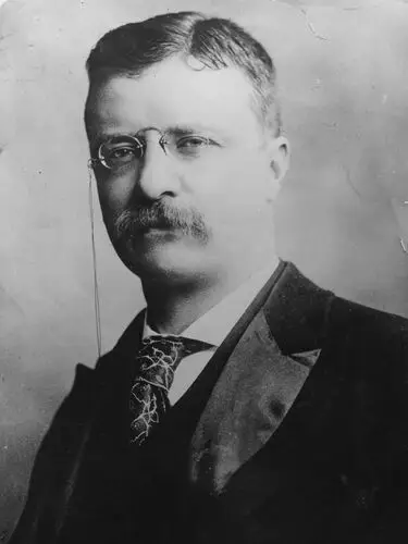 Theodore Roosevelt Tote Bag - idPoster.com