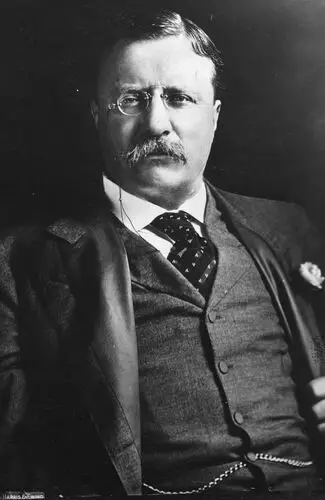 Theodore Roosevelt Fridge Magnet picture 478649