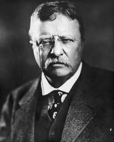 Theodore Roosevelt Fridge Magnet picture 478652