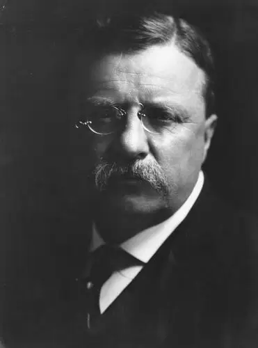 Theodore Roosevelt Jigsaw Puzzle picture 478653