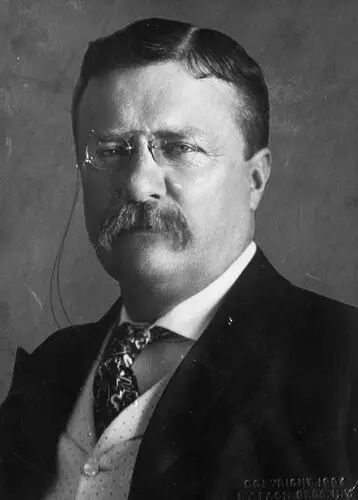 Theodore Roosevelt Computer MousePad picture 478655