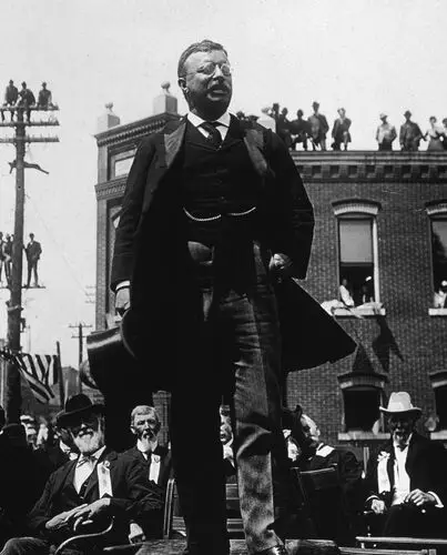 Theodore Roosevelt Wall Poster picture 478660