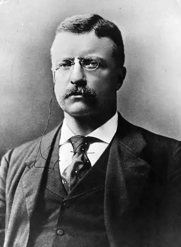 Theodore Roosevelt Jigsaw Puzzle picture 478663