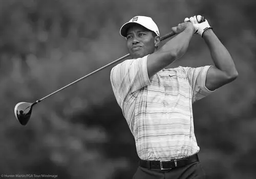 Tiger Woods Wall Poster picture 86407