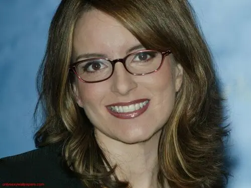 Tina Fey Wall Poster picture 93430
