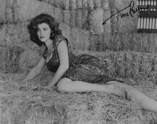 Tina Louise Jigsaw Puzzle picture 327802