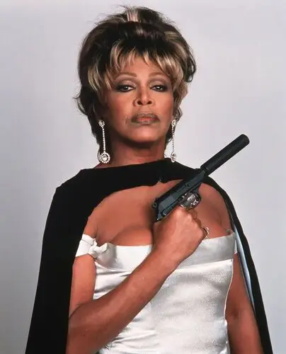 Tina Turner Fridge Magnet picture 547247