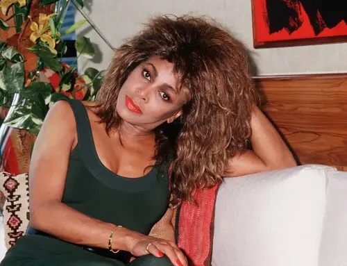 Tina Turner Fridge Magnet picture 547248