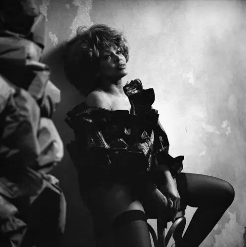 Tina Turner Jigsaw Puzzle picture 67816
