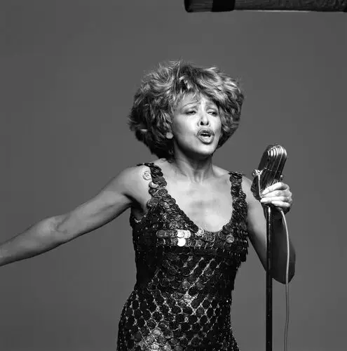 Tina Turner Jigsaw Puzzle picture 67817
