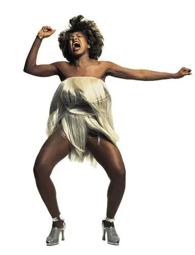 Tina Turner Jigsaw Puzzle picture 67819
