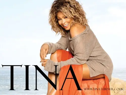 Tina Turner Wall Poster picture 93437