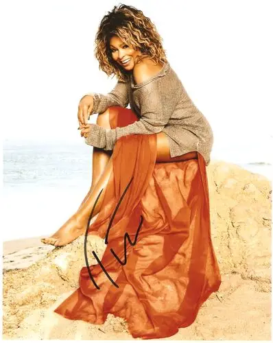 Tina Turner Jigsaw Puzzle picture 93438