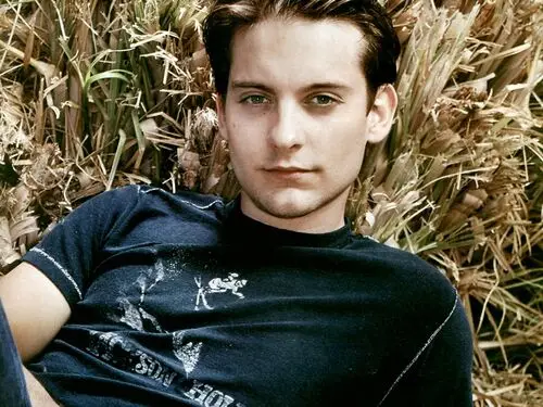 Tobey Maguire Men's Colored T-Shirt - idPoster.com