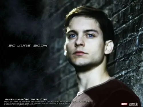 Tobey Maguire Fridge Magnet picture 103282