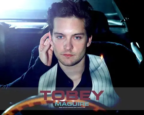 Tobey Maguire Jigsaw Puzzle picture 103291