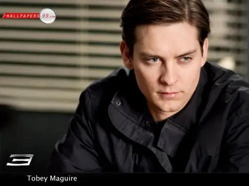 Tobey Maguire Wall Poster picture 103295