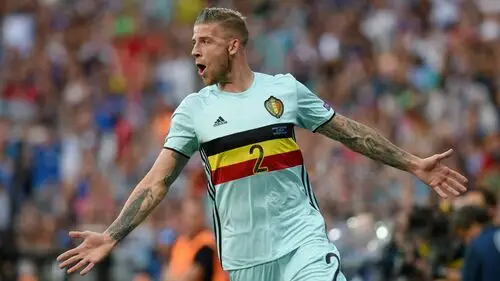 Toby Alderweireld Wall Poster picture 711106