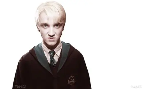 Tom Felton Wall Poster picture 306537