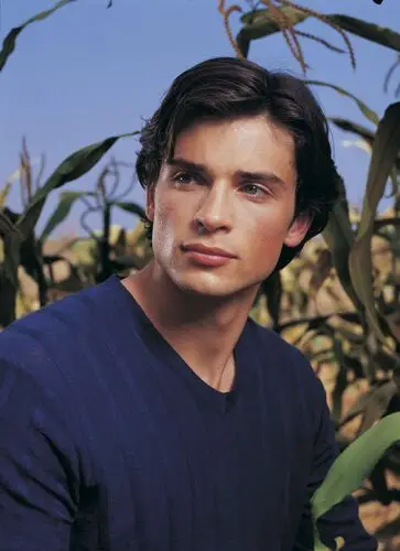Tom Welling Wall Poster picture 20047