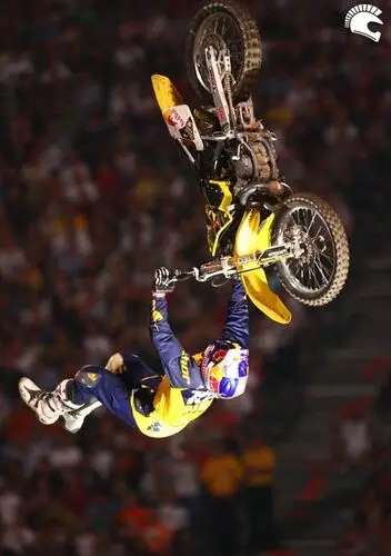 Travis Pastrana Wall Poster picture 163964