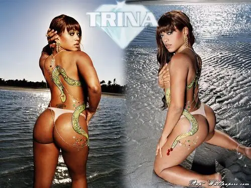 Trina Wall Poster picture 80701