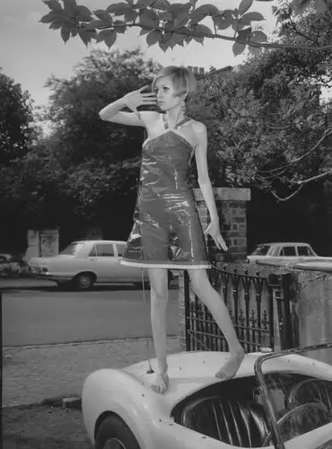 Twiggy Image Jpg picture 336391