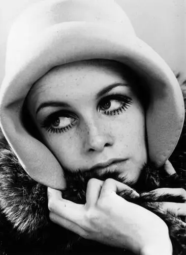 Twiggy Image Jpg picture 73056